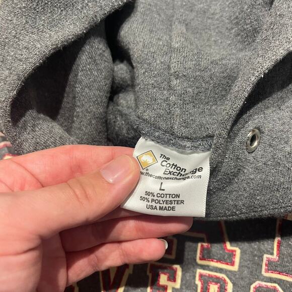 Vintage 90s Ferris State University Grey Hoodie - Picture 3 of 3